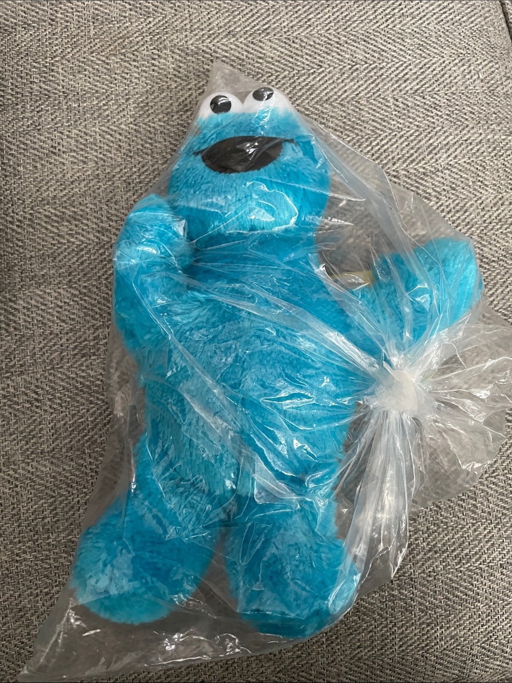 Plush Cookie Monster Sesame Street Stuffy Stuffed Animal